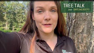 Tree Talk: Girdling Roots
