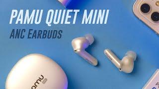 Pamu Quiet Mini Review: Feature-Packed AirPods Alternative!