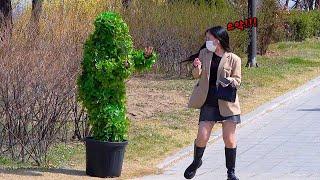 Best Pranks of Bushman! Bushman Prank