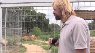 Joe Exotic TV - Tiger Attacks Skippy's Hose and Erik Cowie Is About To Explode!