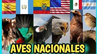 AVES NACIONALES de cada PAIS 