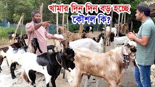 সবাই বলে ছাগল পালন লস? | আপনার ছাগলের খামার দিন দিন বড় হচ্ছে কিভাবে কৌশল কি? | Nil Bangla Krishi