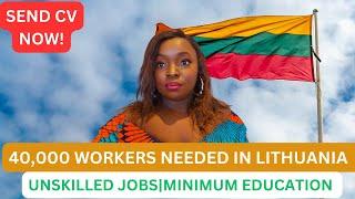 LITHUANIA WORK VISA 2024|UNSKILLED JOBS | Driver, Painter, Cook, etc  Tips and Resources