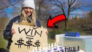 Beat Me at Chess, Receive $50