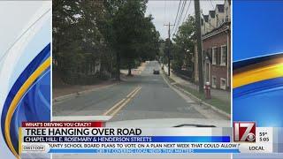 Driver reaches out to CBS 17 with concerns about tree hanging over busy Chapel Hill street