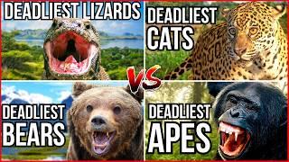 All 8 Ranking Deadly Animal Videos That I have Ever Made - Deadliest Animals