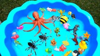 Sea Animal Toys for Kids - Learn Wild Animals Names - Sea Animals Videos for Children