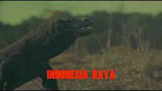 INDONESIA RAYA - ASDEKSI