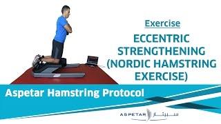 32. Exercises - Eccentric Nordic Hamstring