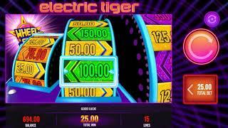 Electric Tiger Bonus Round by IGT - Game Play Video