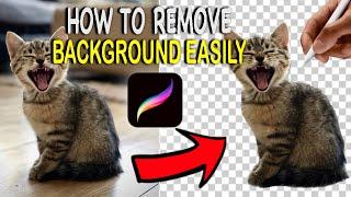 How to Remove a Background From an Image With Procreate on iPad (Easy Method!)