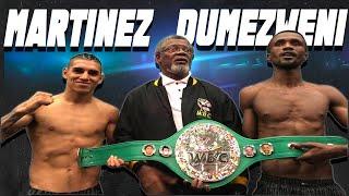 "EL PUMA" FERNANDO MARTINEZ VS ATHENKOSI DUMEZWENI  FULL HIGHLIGHTS