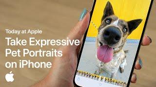 Take Expressive Pet Portraits on iPhone with Sophie Gamand | Apple