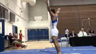 Danell Leyva - Vault - 2013 Men's National Qualifier