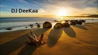 Deep House Music & Dub Underground - SA 1002 (1 Hour Mix - DJ DeeKaa)