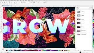 The Pan and Zoom Tools in CorelDRAW