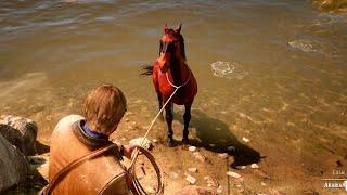 Clever horse, Arthur tried hard to catch it but it ran away - Rdr2 | Gameplay