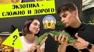 Экзотика - это СЛОЖНО и ДОРОГО?