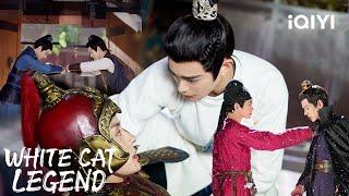 Special:李饼 x 邱庆之 "Are We Still Friends?""Sure" | White Cat Legend | 大理寺少卿游 | iQIYI