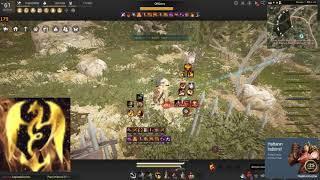 BDO Mena Guardian succ&awakening PVP