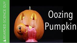 Make an Oozing Pumpkin Volcano (Chemistry)