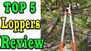 5 Best Loppers Review 2024