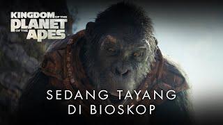 Kingdom of the Planet of the Apes | Rescue | In Cinemas Now