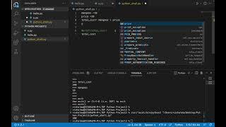 How to use Python Interactive Shell in Visual Studio code