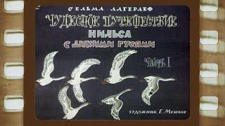 Диафильм (озвученный)  "Чудесное путешествие Нильса с дикими гусями" часть I 1969 года