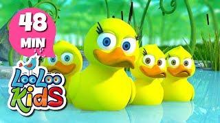 Five Little Ducks - THE BEST Nursery Rhymes and Songs for Children | LooLooKids