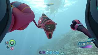 MY CYCLOPS KILLS A REAPER LEVIATHAN AND ASCENDS TO THE HEAVENS...