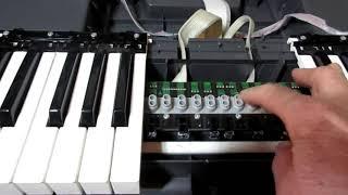 I fix a loud key on my Yamaha DGX-520 digital piano.  Thrilled!!