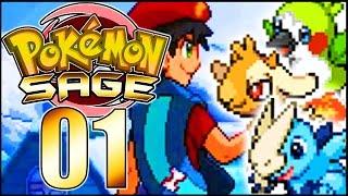 EINE NEUE WELT! Let's Play Pokémon Sage Part 1