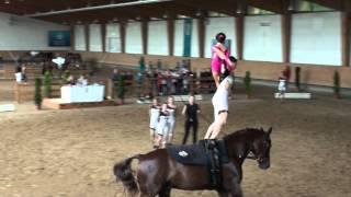 Pferd International 2015 - Starnberg Junior I