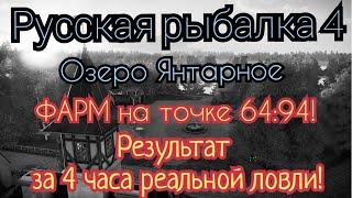 РР4. озеро Янтарное. Фарм на точке 64:94. Карп Зеркальный, Чешуйчатый, Голый, Линейный и Призрак.