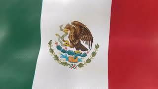 Mexican Flag Waving In The Wind For 1 Minute [Loop]