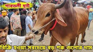 Bhai Koto Nilo 2024 | Gabtoli Cattle Market | Gabtoli Gorur Haat 2024 | Gorur Haat Update p- 6