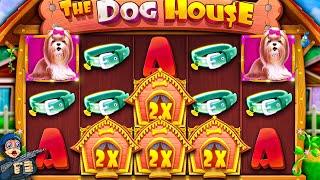 5$ SPINS ON DOG HOUSE! (BONUS)