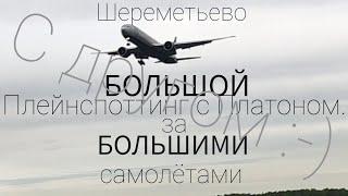 Шереметьево: БОЛЬШОЙ Плейнспоттинг с Платоном за БОЛЬШИМИ самолётами. Про авиацию с Платоном.