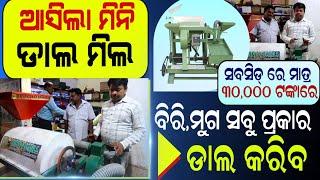 ଆସିଲା ମିନି ଡ଼ାଲ ମିଲ / Odisha launch new dal mill / business idea Odisha / odisha business