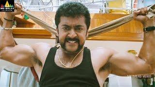 Singam (Yamudu2) Action Scenes Back to Back | Suriya, Danny Sapani, Mukesh Rishi