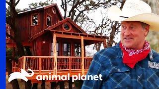 'Sneaky Pete' Builds A Double Decker Saloon House In A Huge Oak | Treehouse Masters