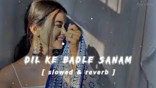 Dil Ke Badle Sanam ️ - ( slowed reverb ) lofi song  | No copyright ©️