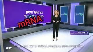 מה זה mRNA