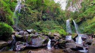 Amazing Serenity | Immersing Yourself in the Peaceful & Therapeutic Sounds of a Hidden Forest Stream