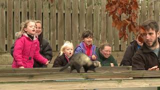 Cannon Hall Farm: Modern Farming Paradise