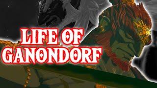 The Life of Ganondorf - Tears of the Kingdom Theory