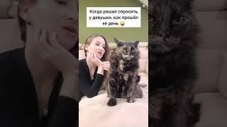 Котэ думает отнесите меня обратно в стиральную машину откуда достали