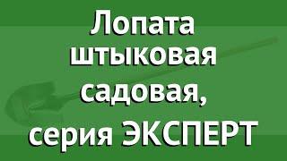 Лопата штыковая садовая, серия ЭКСПЕРТ (ЗУБР) обзор 4-39429 производитель Зубр ОВК (Россия)