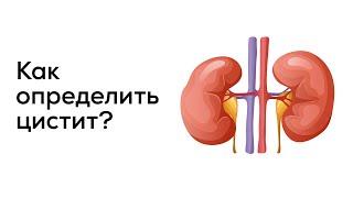 Как определить цистит?